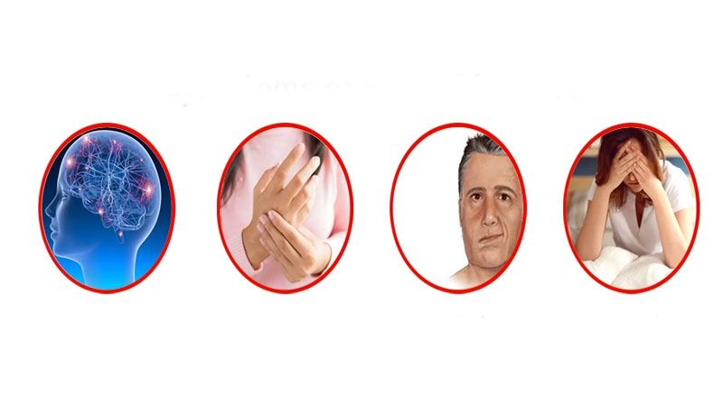 بیماریهای مغزی و درمان آنها