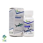 خرید و قیمت کپسول شارک کارتیلاج 750 استرالین فارما 30 عددی
